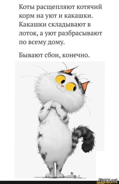 Солянка от 08.08.2025