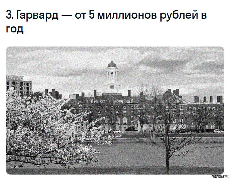 Цены на 2024г