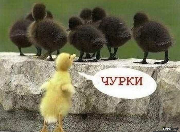 Не ищите здесь смысл. Здесь в основном маразм