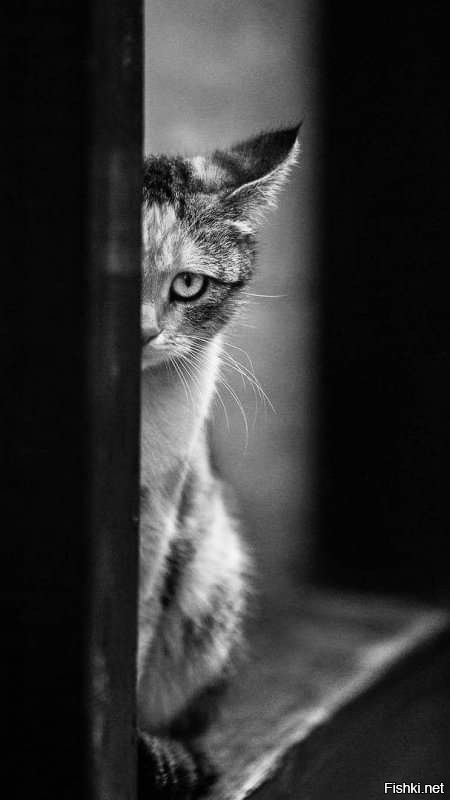 Доброе !!!
Оксана  !!!