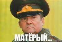 Грозный шпиц прогнал медведя