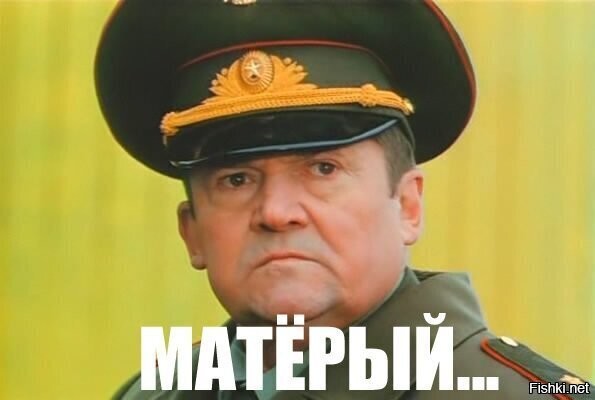 Грозный шпиц прогнал медведя