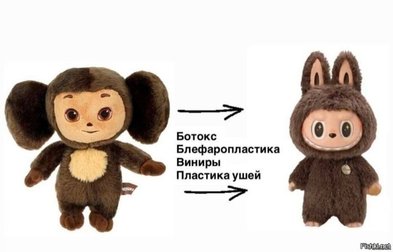 Мир сошёл с ума: верующие владельцы Лабубу стали освящать своих плюшевых монстров