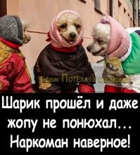 можно вот такого типа