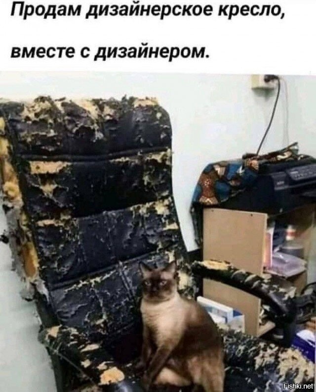 Скрины из соцсетей