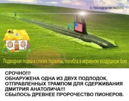 "Применение боевых дельфинов в условиях пустыни Ирака оправдались лишь частично."
