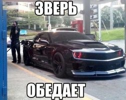 АвтоВсячина