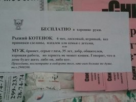 Большая тарелка улыбатора