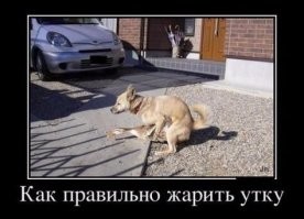 Большая тарелка улыбатора