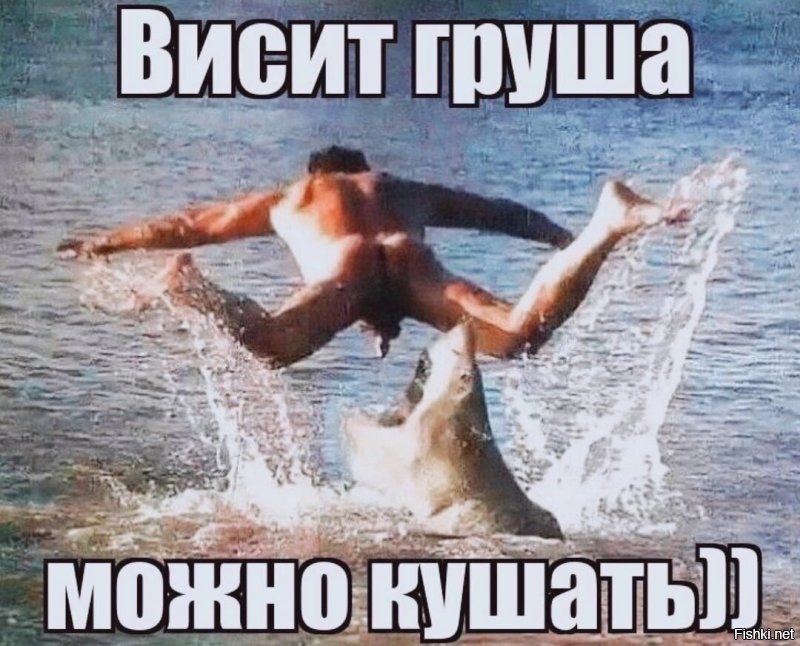 Большая тарелка улыбатора