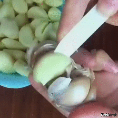 Просто гифки, всякие и&nbsp;разные