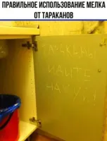 Большая тарелка улыбатора