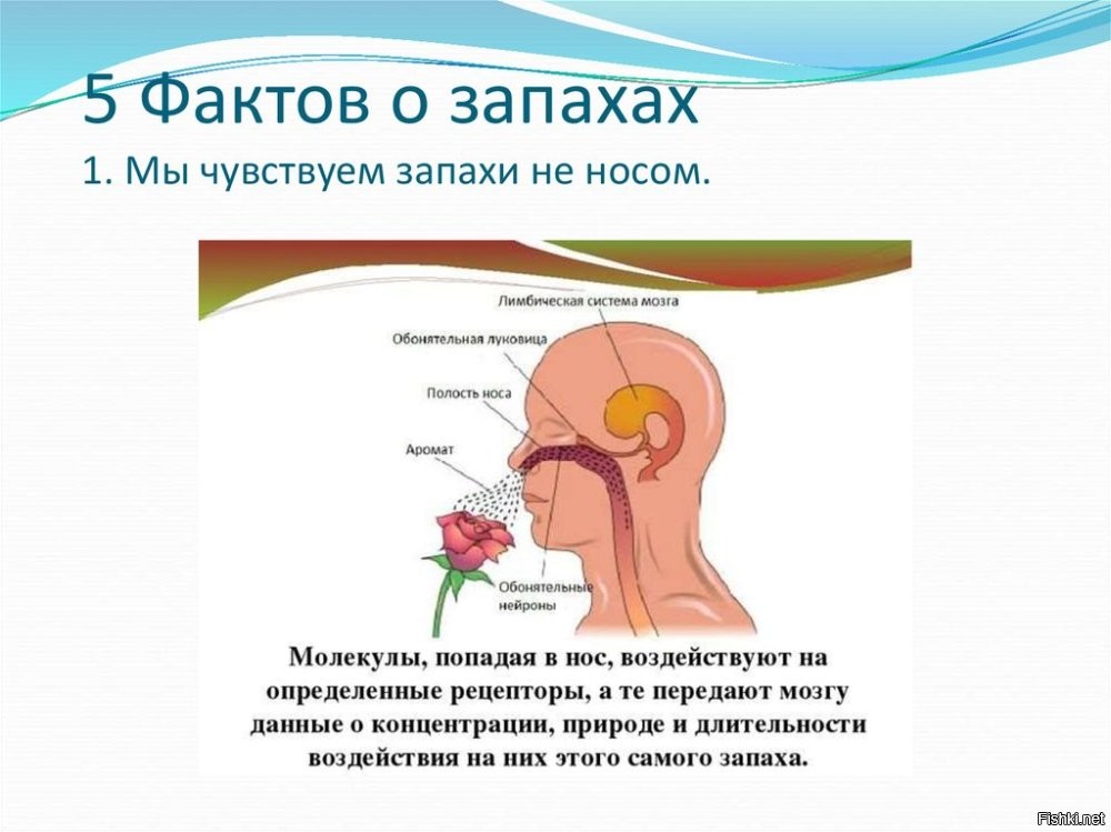 Новое развлечение у молодежи