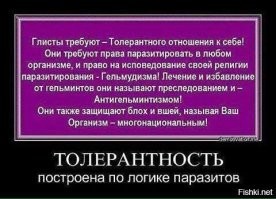 В Лондон дерзкий мигрант решил сказать группе  корреспондентов, что они создают неправильный, лживый имидж нелегалов в стране