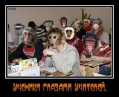 Смешные картинки