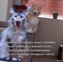 Демотиваторы для всех 