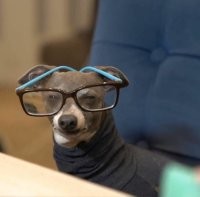 А ну-ка, где авансовый отчёт?..