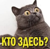 Девушка перепутала человека с постером