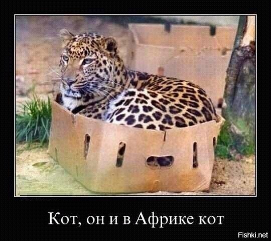 Хозяйственный ягуар