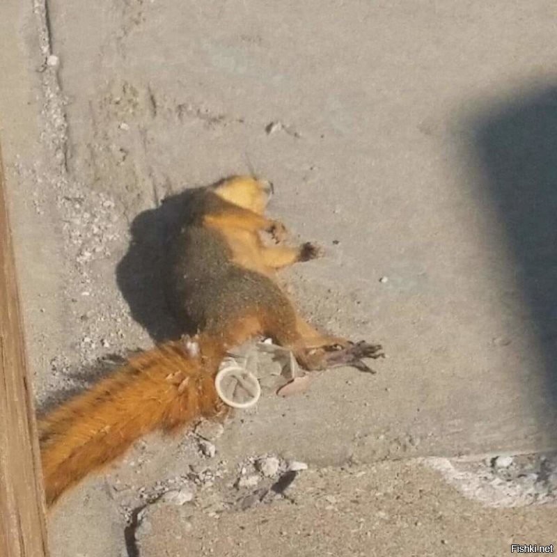 а на утро будет так.