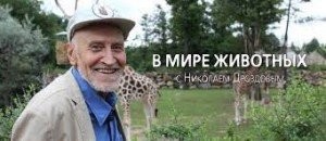 Британка раскритиковала поведение соотечественников на отдыхе