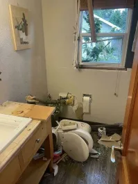 Чё сетовать, если доим из картона?