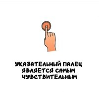 Если только у офисного планктона, хотя и у них от клавиатуры там должны быть мозоли. Наиболее чувствительным будет палец, который меньше всего задействован. У большинства, это безымянный.