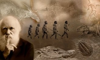 Нельзя мешать естественному отбору.