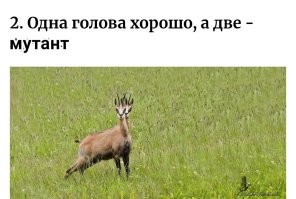 Оптическая поэзия: 20 фото, которые обманут ваше восприятие