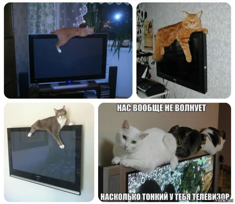Не ищите здесь смысл. Здесь в основном маразм