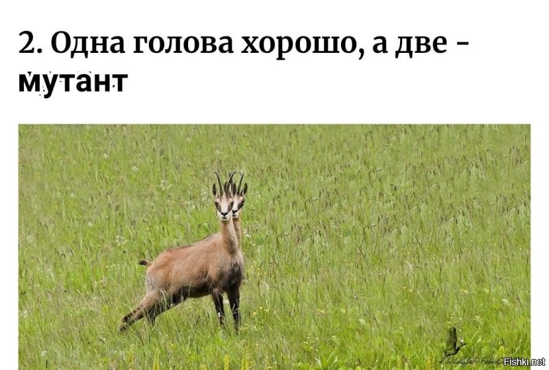 Оптическая поэзия: 20 фото, которые обманут ваше восприятие