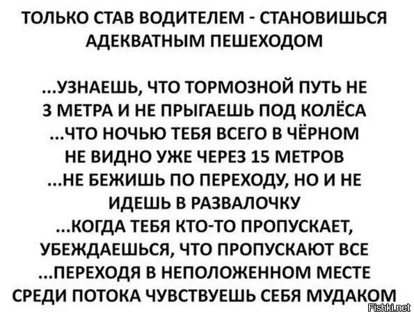Трамвай насмерть сбил многодетную мать в Новосибирске. Женщина даже не пыталась посмотреть по сторонам