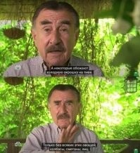 Не ищите здесь смысл. Здесь в основном маразм