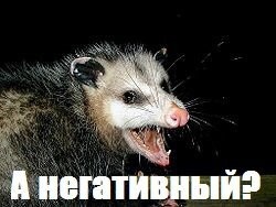 Не ищите здесь смысл. Здесь в основном маразм