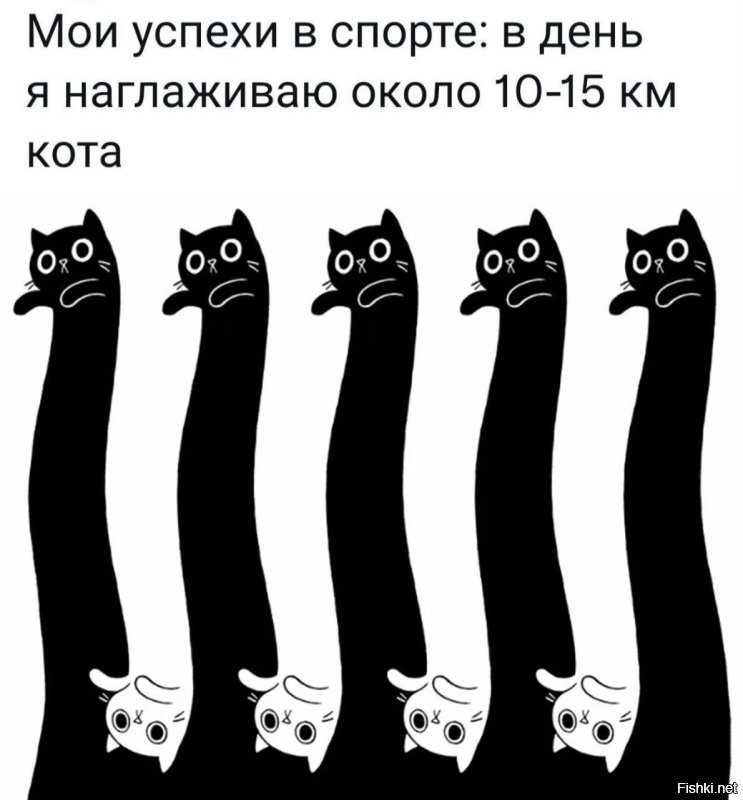 Солянка от 13.08.2025