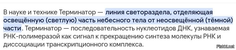 Солянка от 13.08.2025