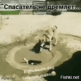 Просто гифки, всякие и&nbsp;разные