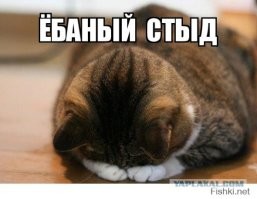 Чего только не придумают, лишь бы хоть какой-то контент для тик-тока сделать. Обычные люди просто в миски еду накладывают и ставят их на пол, держат дверь закрытой, чтоб коты не мешали процессу фасовки пищи по емкостям. А тут и котов голодом поморила, и разоделась, как в вольер с пумами и давай им всё на подносе заносить. Господи, как же всё это убого выглядит.