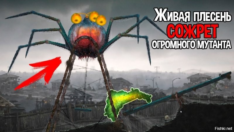 В США у диких кроликов появились щупальца на голове