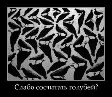 25 волшебных теневых иллюзий, доказывающих, что природа — лучший художник