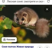Скрины из соцсетей