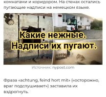 Семья британцев обнаружила под домом нацистский бункер времён Второй мировой войны