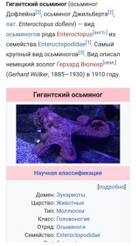 Вид такой.