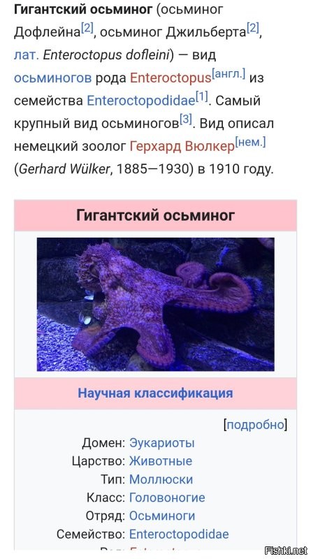 Вид такой.