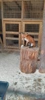 Не ищите здесь смысл. Здесь в основном маразм