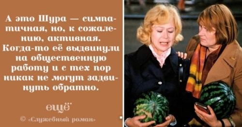 Подборка смешных и забавных фотографий с собаками, которые поднимут настроение