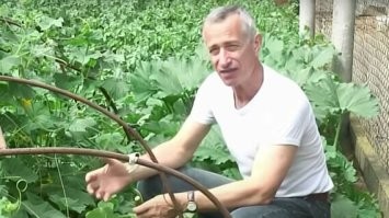 Так... Доктор Попов вошёл в чат. Ща узнаем, кто помнит доктора Попова.