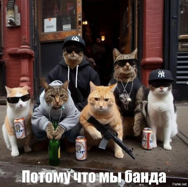 Пушистая банда залезла в холодильник