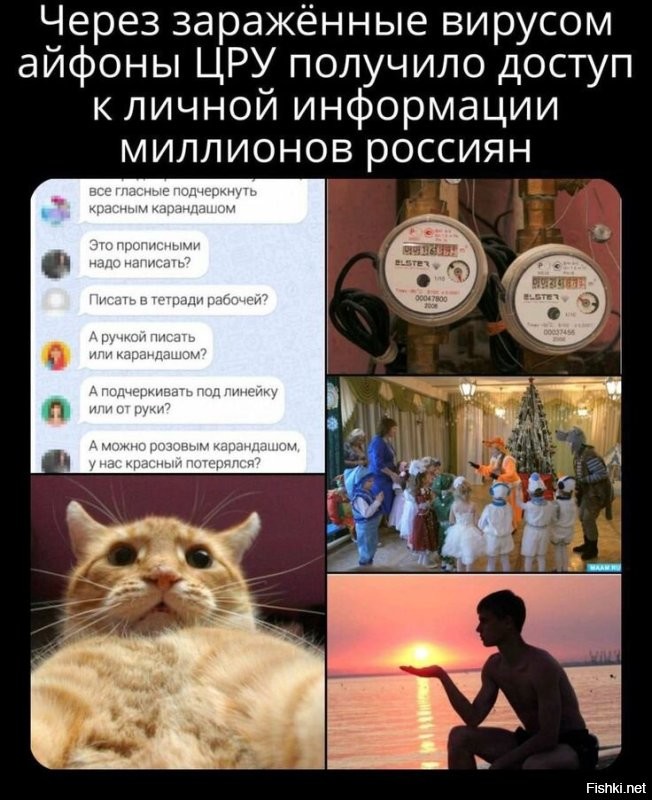 "Это опасно!": в Госдуме предостерегли россиян от перехода в Google Meet после бана звонков в Telegram и WhatsApp*