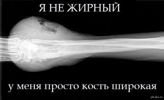 К&nbsp;зиме готов: медведь зажировался